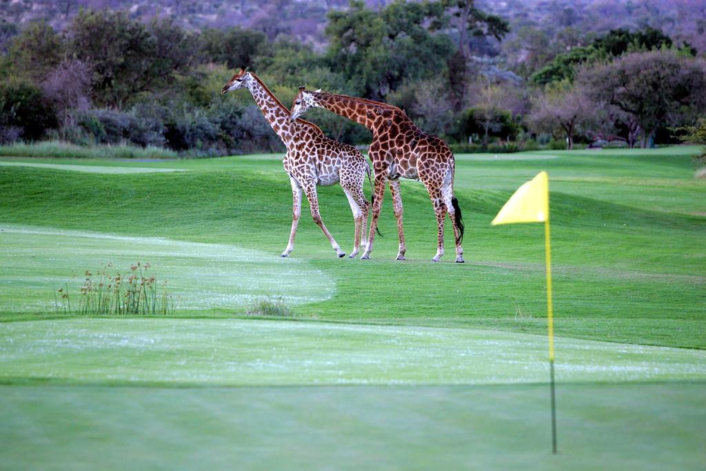 Royal Game Guest House Phalaborwa Eksteriør bilde